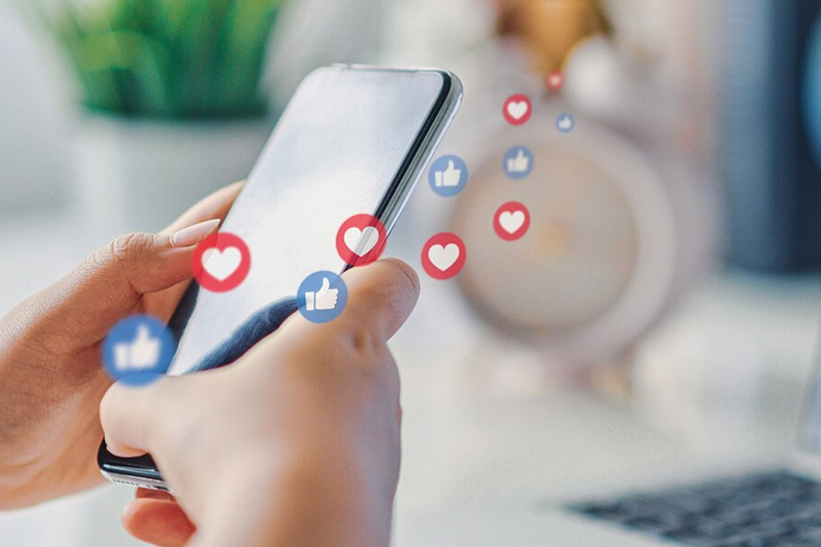 search engine positioning  seo Delhi Dehradun India